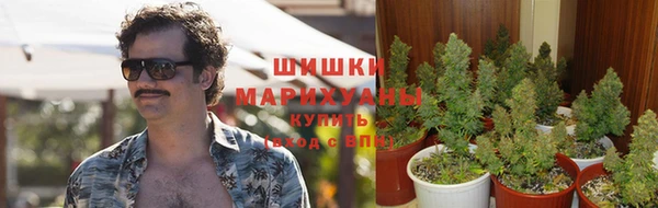 кокс Арсеньев