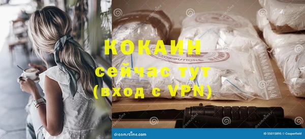 кокс Арсеньев